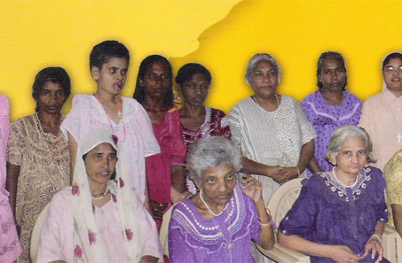 Activities  2012 - 2019