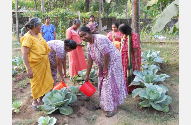 alpam koodi ozhikkatte
